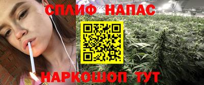 хмурый Аша