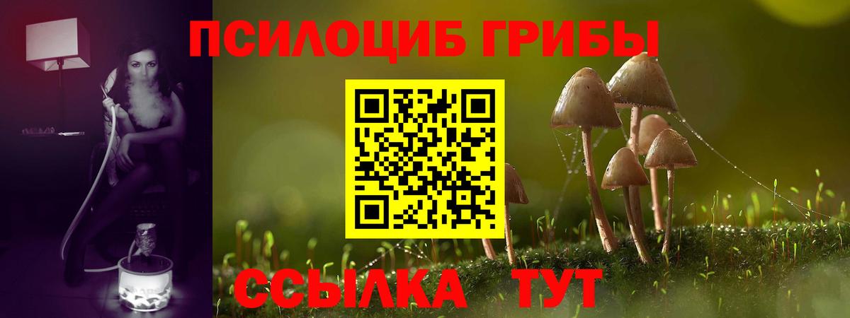 Рославль  Галлюциногенные грибы ЛСД  Вход с VPN 